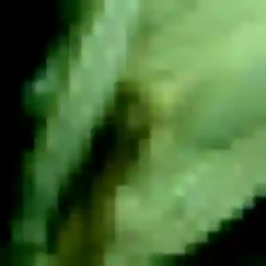 Meriem, fille de 21 ans veut rencontre plan cul à Châtenay-Malabry