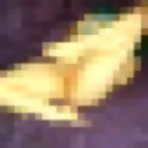 Hortense de Chaumes-en-Retz, 35 ans - rencontre plan cul discret