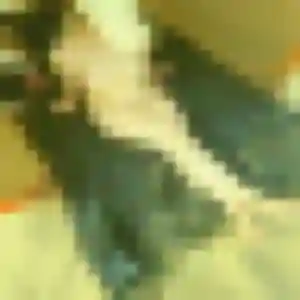 Hajar (37 ans) à Chauvigny cherche un rencontre plan cul aujourd'hui