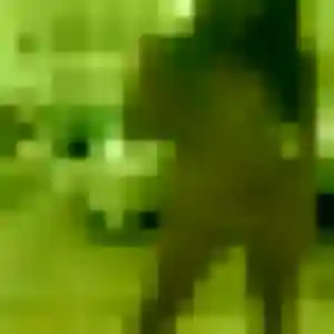 Photo exclusive de Tatiana, 37 ans à Chemillé-en-Anjou - rencontre sans lendemain