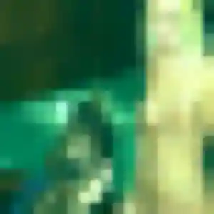 Anne, 32 ans, disponible à Condé-sur-l'Escaut pour une rencontre coquine