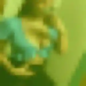 Photo de Cecile à Contes (25 ans) - rencontre plan cul discret