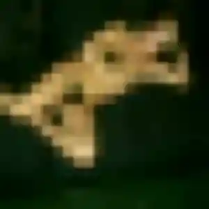 Lisette, fille de 23 ans propose rencontre plan cul à Créteil