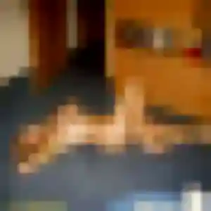 Corinne, 31 ans, cherche un rencontre plan cul à Crolles