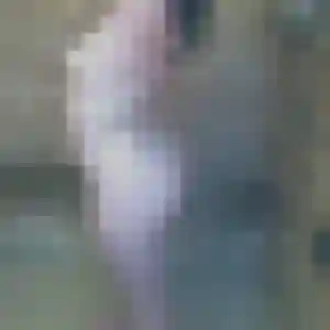 Lea (22 ans) à Cuers propose une rencontre aujourd'hui