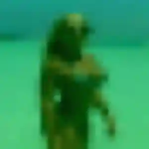 Contacte Fiona, 21 ans à Digoin en privé