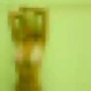 Photo de Jocelyne à Dinard (30 ans) - rencontre plan cul anonyme