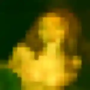 rencontre plan cul à Douarnenez : profil de Mathilde, 23 ans - sans engagement