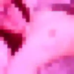 Marie-Therese (26 ans) à Doué-en-Anjou propose un rencontre plan cul ce soir