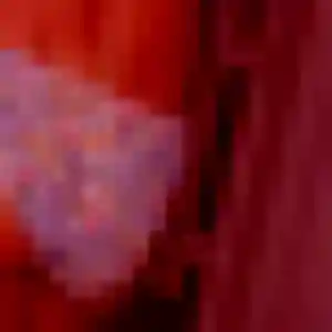 Penelope, fille de 32 ans veut rencontre plan cul à Doué-en-Anjou