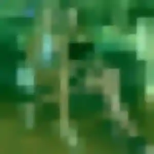 Photo perso de Anne-Marie, 41 ans à Dunkerque - rencontre sans lendemain