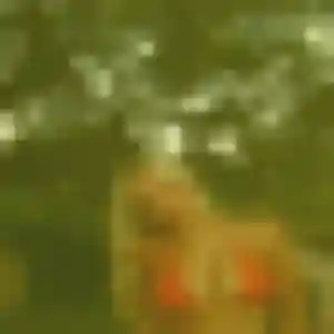 Roxane, fille de 32 ans cherche rencontre plan cul à Eaunes