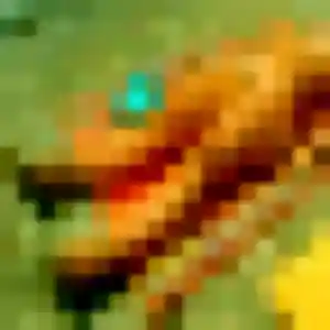 rencontre plan cul à Écully : profil de Anne-Laure, 31 ans - sans engagement