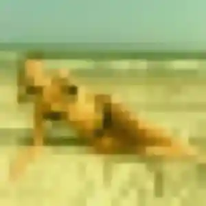 rencontre plan cul à Écully : photo de Isabelle, 45 ans - accès libre