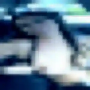 Veronique, 25 ans, en ligne à Élancourt pour une rencontre coquine