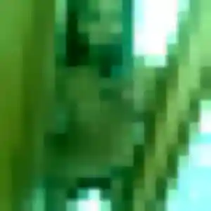 Profil de Sara à Ensisheim (19 ans) - rencontre plan cul gratuit