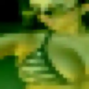 Photo exclusive de Tessa, 28 ans à Entraigues-sur-la-Sorgue - rencontre sans lendemain