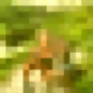 rencontre plan cul à Erdre-en-Anjou : photo de Romina, 28 ans - sans engagement