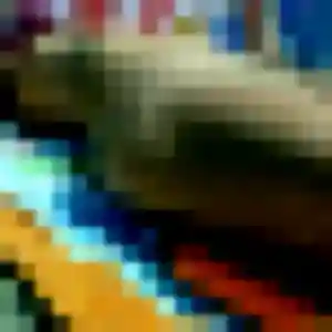 Alix, 45 ans, en ligne à Fécamp pour un rencontre plan cul