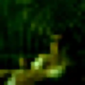 Jolie Djamila, 28 ans à Fenain - découvrir son profil