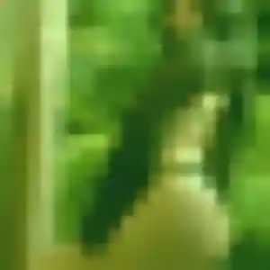 Photo exclusive de Florence, 38 ans à Feytiat - rencontre sans lendemain