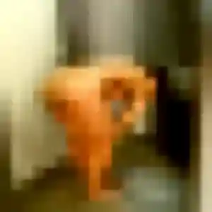 Lola, fille de 28 ans veut rencontre plan cul à Floirac