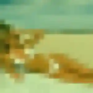 Photo exclusive de Ariane, 36 ans à Fos-sur-Mer - rencontre coquine