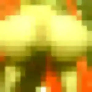 Penelope, 35 ans, connectée à Fourmies pour un rencontre plan cul