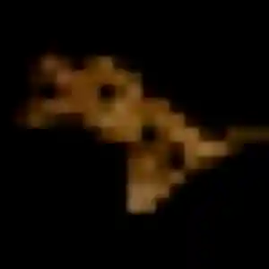 Pauline de Fuveau, 45 ans - rencontre plan cul sans lendemain