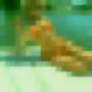 Anouk de Garéoult, 22 ans - rencontre plan cul sans lendemain