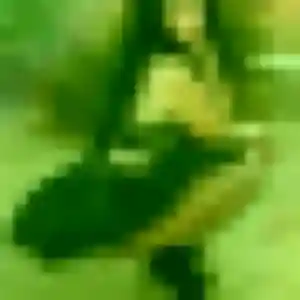 Celine, femme de 20 ans cherche rencontre plan cul à Geispolsheim