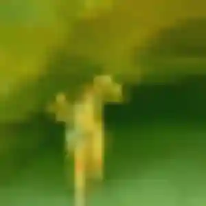 Rencontre Lilou, 32 ans à Genlis en t'inscrivant