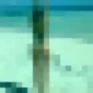 Belle Sabine, 41 ans à Gennes-Val-de-Loire - découvrir son profil