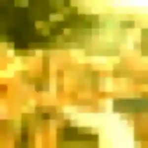 Joana, 22 ans, veut un rencontre plan cul à Gournay-sur-Marne