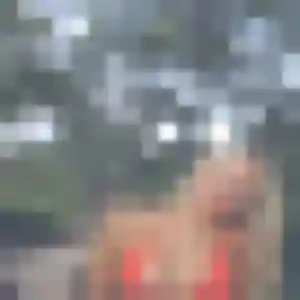 Anne-Laure, 31 ans, veut un rencontre plan cul à Grande-Synthe