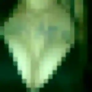 Anne-Sophie, 38 ans, dispo pour rencontre plan cul à Guémené-Penfao