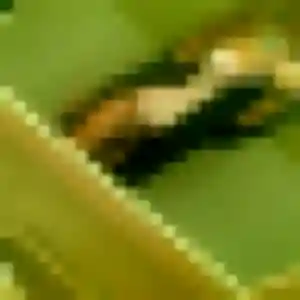 Corinne de Harfleur, 43 ans - rencontre plan cul discret