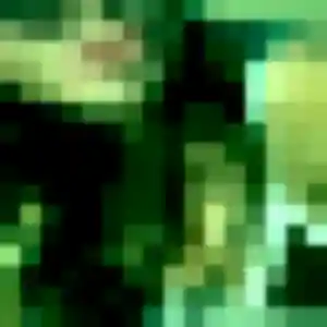 Photo perso de Eva, 44 ans à Haute-Goulaine - plan discret