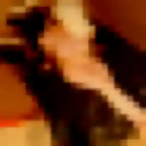 Sandrine, 23 ans, disponible à Haute-Goulaine pour une rencontre coquine