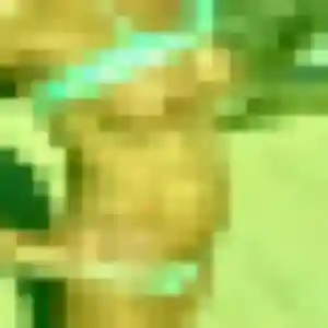 Thais (33 ans) à Hautmont propose une rencontre rapidement