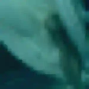 Photo sexy de Benedicte, 33 ans à Hettange-Grande - plan discret
