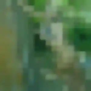 Aisha, femme de 32 ans propose rencontre plan cul à Hœnheim