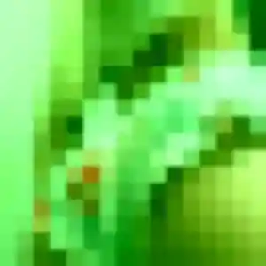 Photo perso de Graziella, 36 ans à Horbourg-Wihr - rencontre sans lendemain