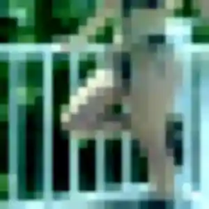 Photo exclusive de Magalie, 23 ans à Houilles - rencontre coquine