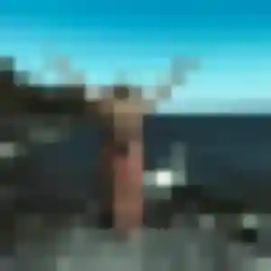 Contacte Quitterie, 41 ans à Hyères gratuitement