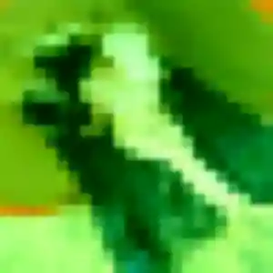 Rencontre Zara, 38 ans à Illkirch-Graffenstaden en privé