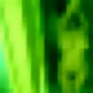 Découvre Paloma, 26 ans à Izon en t'inscrivant