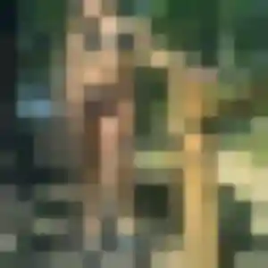 Profil de Perrine à Janzé (39 ans) - rencontre plan cul sans inscription