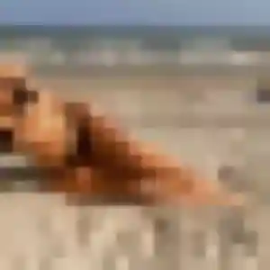 Photo de Anais à Jarny (35 ans) - rencontre plan cul gratuit
