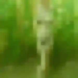 Photo sexy de Jeanne, 39 ans à Jarny - rencontre coquine